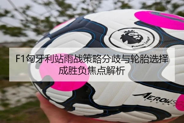 F1匈牙利站雨战策略分歧与轮胎选择成胜负焦点解析